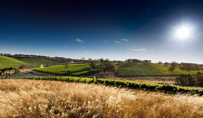 Top 10 Winery Stays | Australian Traveller