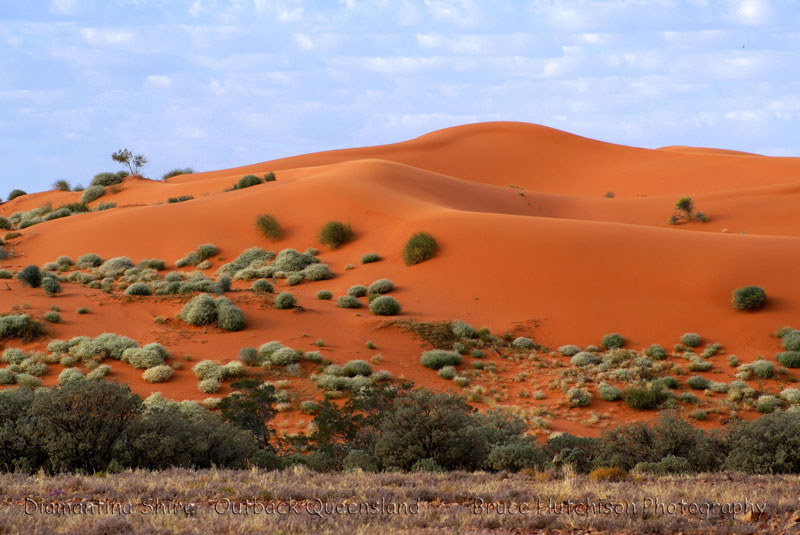 Vé máy bay từ Hồ Chí Minh đến Thành phố Bedourie