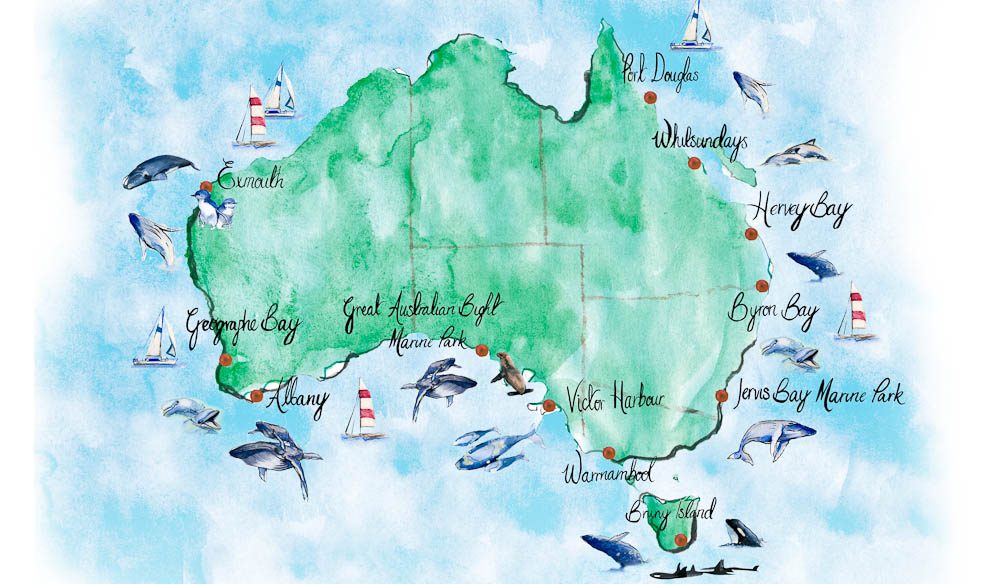 Top spots for whale spotting | Australian Traveller