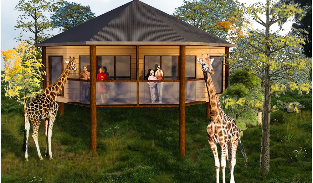 Just lion around in bed at the zoo Australian Traveller