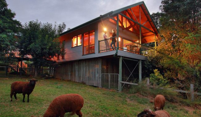 Wild Lime Cooking School offers its students accommodation in a Treehouse cottage