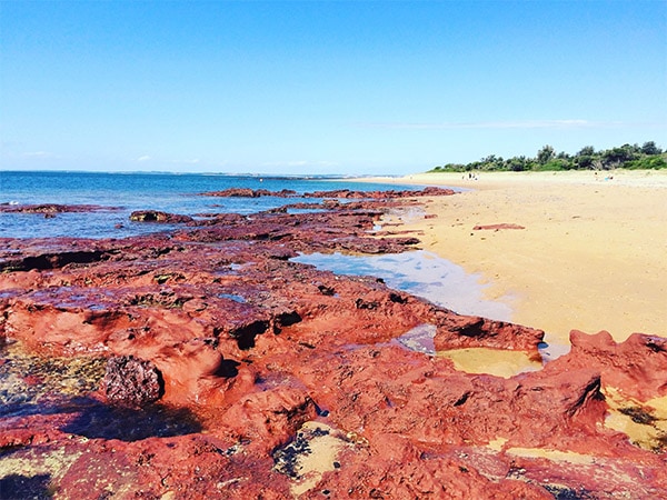 Phillip Island Beaches Here Is Your Ultimate Guide