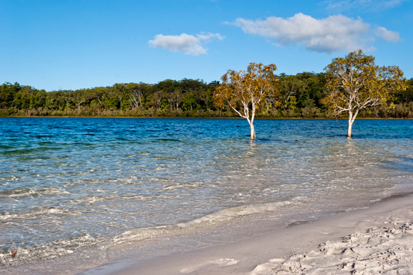 Lake McKenzie Fraser Island