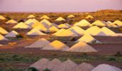 100 Things To Do Before You Die #038 Noodle For Opals At Coober Pedy