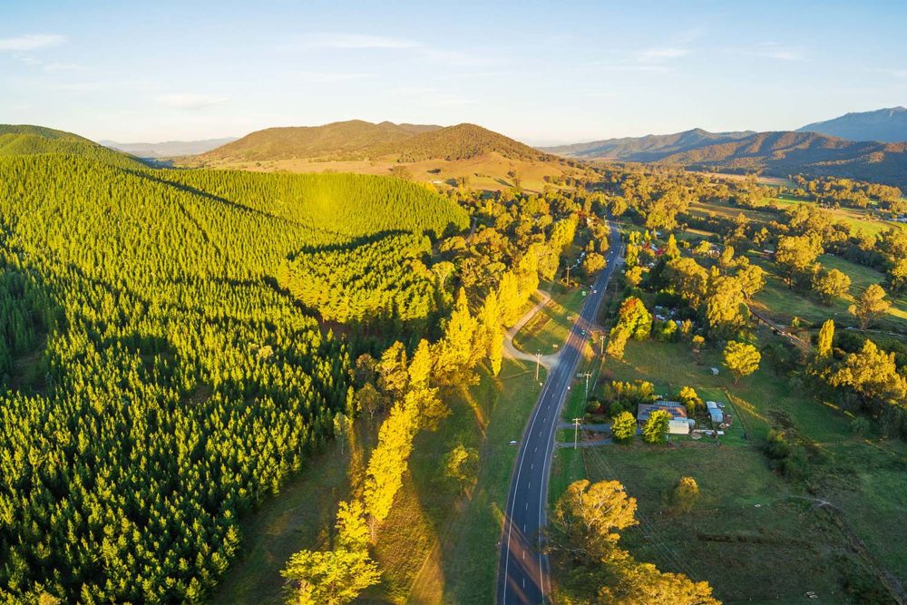 Great Alpine Road VIC