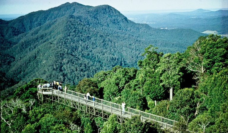 visit dorrigo nsw