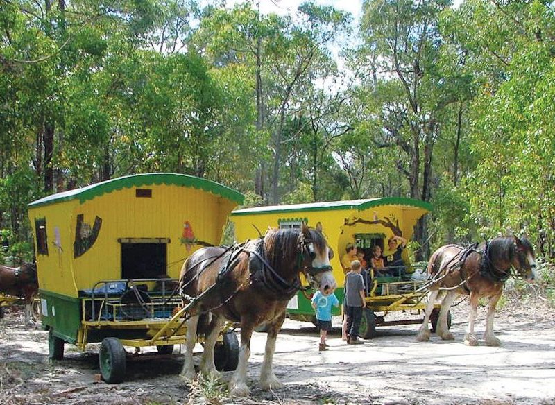 Ride and stay in wagons in Bendigo