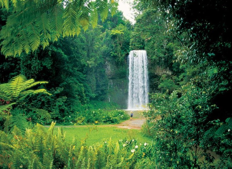 Why you should visit QLD's Atherton Tablelands - Australian Traveller