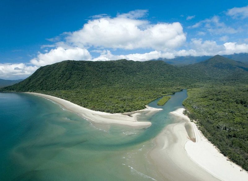 How to See the Daintree Rainforest