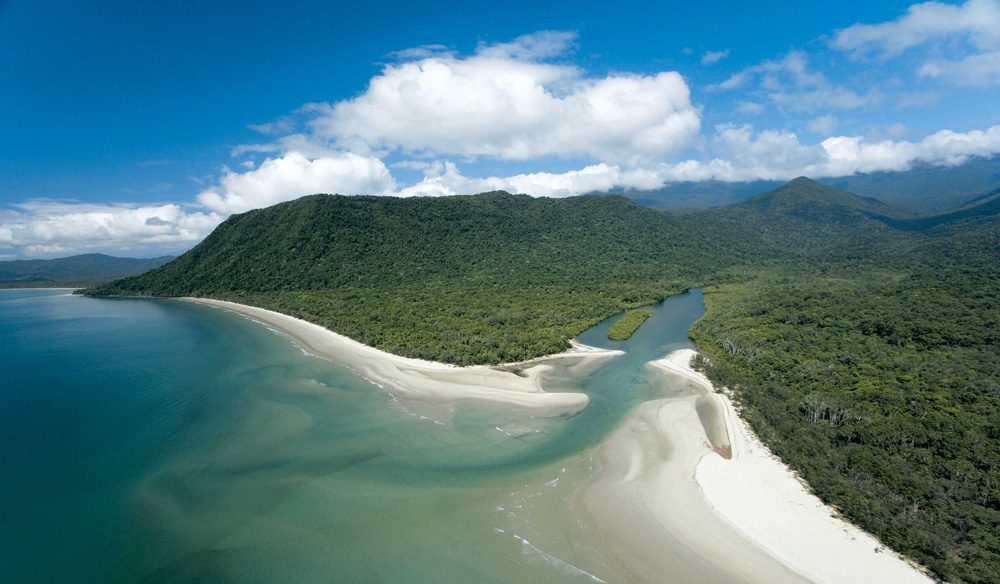 How To See The Daintree Rainforest Australian Traveller