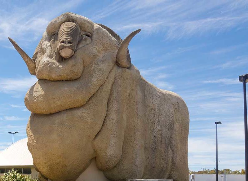 Roam among Australia's 'Big 4 Things'