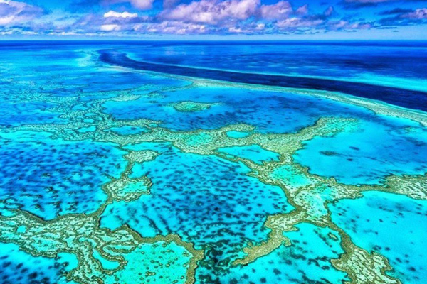 Outer Reef Great Barrier Reef