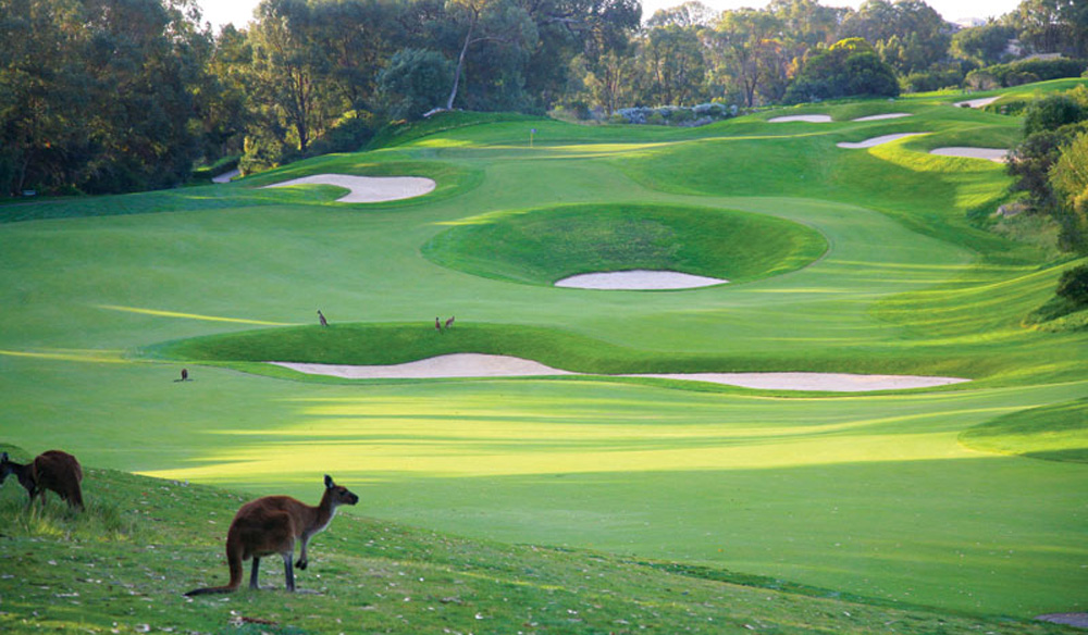 tourism australia golf