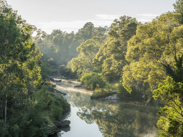Wingecarribee River, Berrima, NSW, Australia