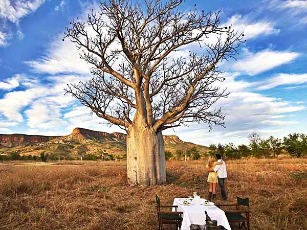 Outdoor dining, El Questro Homestead, East Kimberley, WA