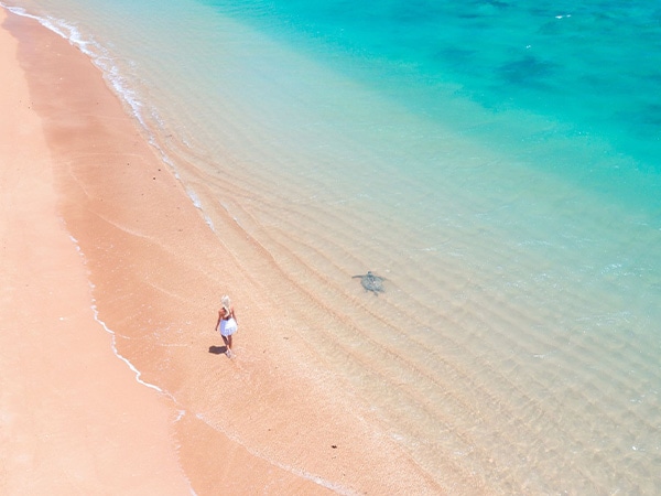 Aerial view of the shore, Mackerel Island, Warlu Way, Australia's Northwest, Australia