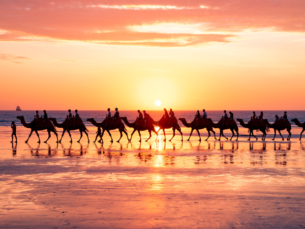 The Iconic Camel Rides In Broome Guide - Australian Traveller