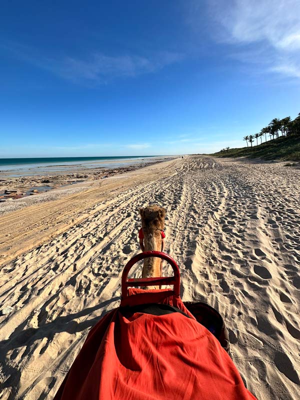 top view of Cable Beach when riding on a camel