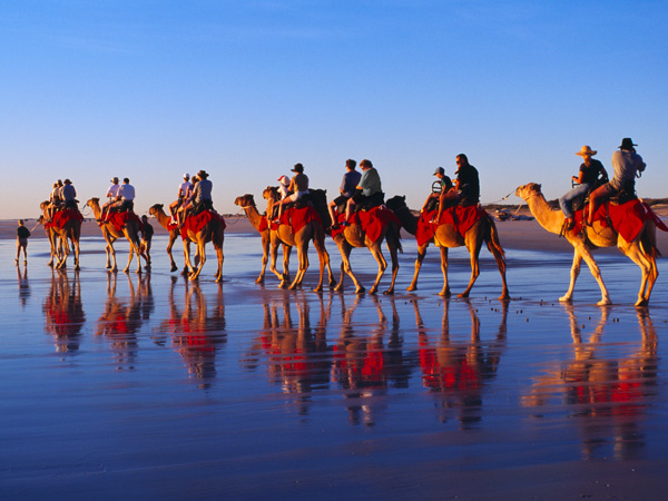 a group of tourists riding a camel on Cable Beach, Broome