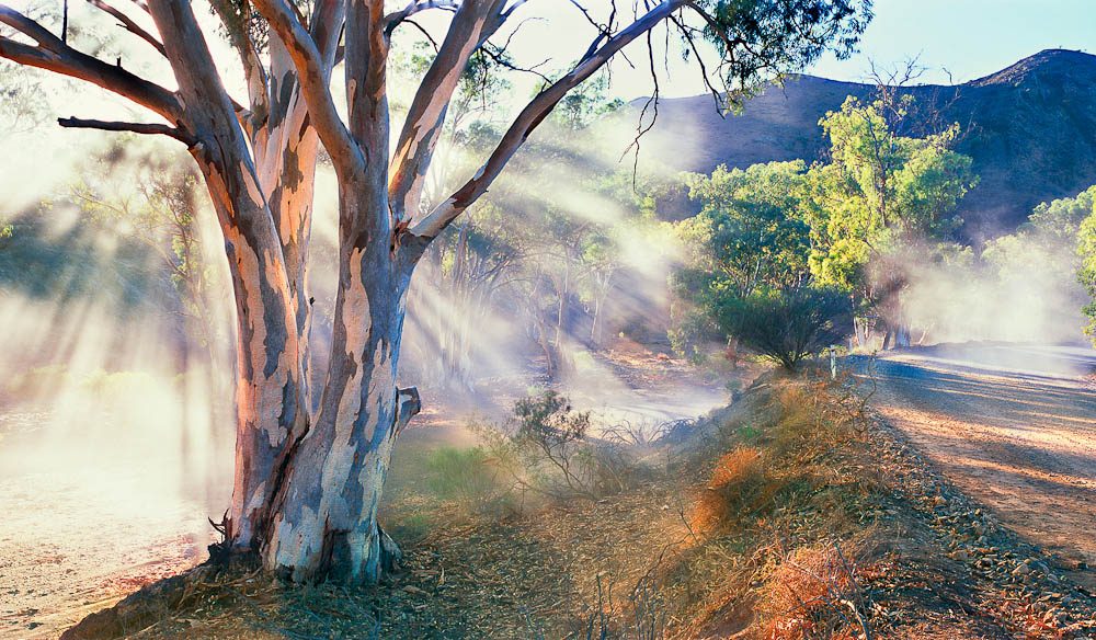 Parachilna Gorge Flinders Ranges