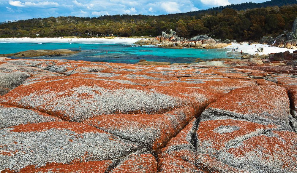 29. Bay of Fires Conservation Area - the Gardens - Image by Tourism Tasmania and Nigel Honey