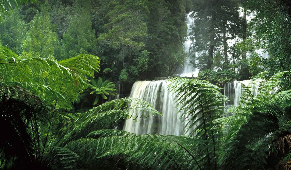 Russell Falls Tasmania