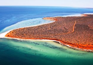 059 Shark Bay Marine Park, WA