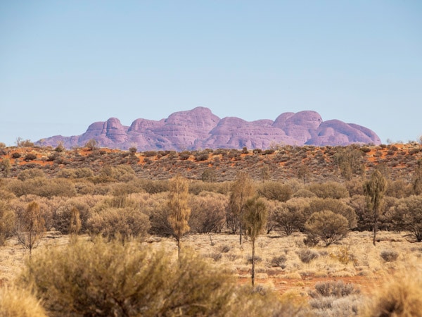 Kata Tjuta domes in the distance