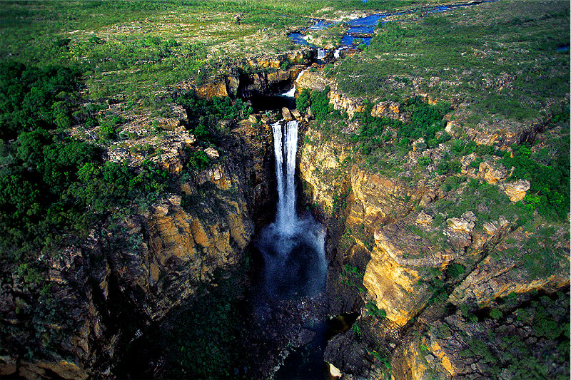 kakadu