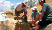 Peer deep into the past at Riversleigh. Image by Tourism QLD