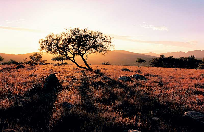 Sunset on the Flinders Ranges