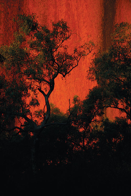 Uluru Sunset from Kantju Gorge
