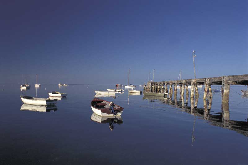 Kingscote Kangaroo Island