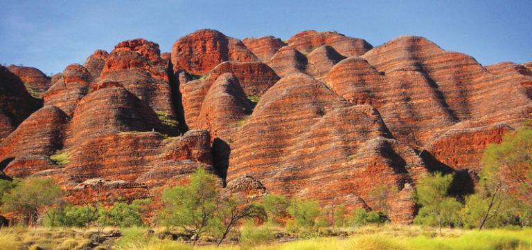 Outback Icons: Unveiling The Resilience Of Australian Trees