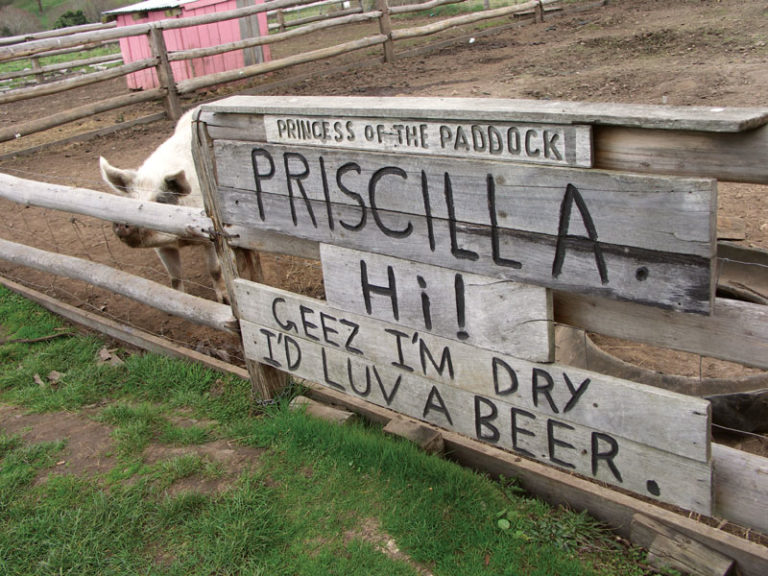 50 of the Best Country Pubs from all Around Australia