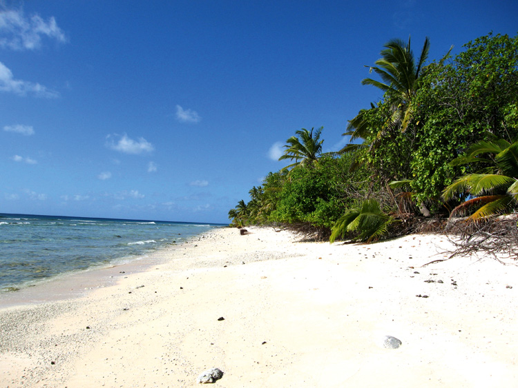 Cocos Islands, Going Coco- Reader Story