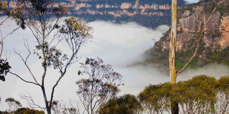 Blue Mountains Holidays & Travel Guide - Australian Traveller