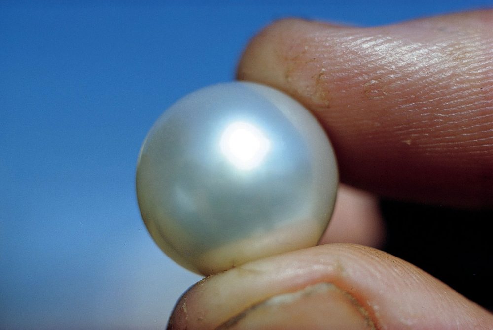 100 Things To Do Before You Die #040 Find A Pearl In Broome ...