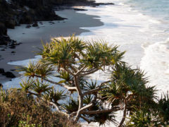 New Guided Tours Along Solitary Bay Trail