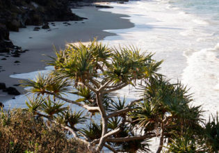 New Guided Tours Along Solitary Bay Trail