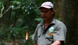 Kuku Yalanji Guided Indigenous Rainforest Walk
