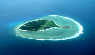 Lady Elliot Island: Secluded Paradise