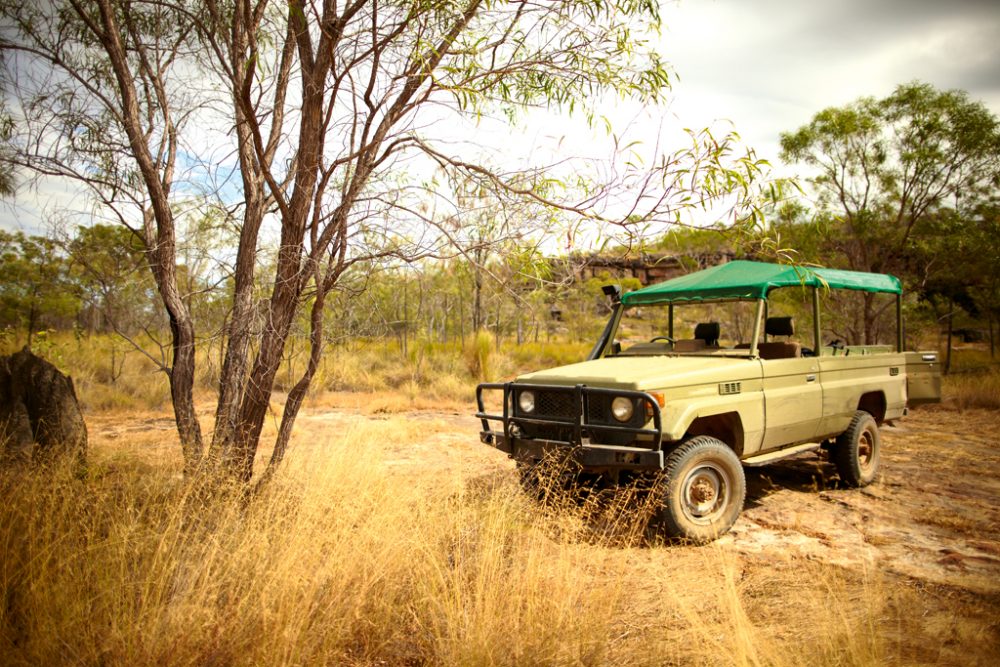 Safari Mount Borradaile, Arnhem Land, Northern Territory