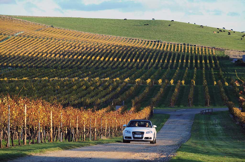 Tamar Valley Tasmania