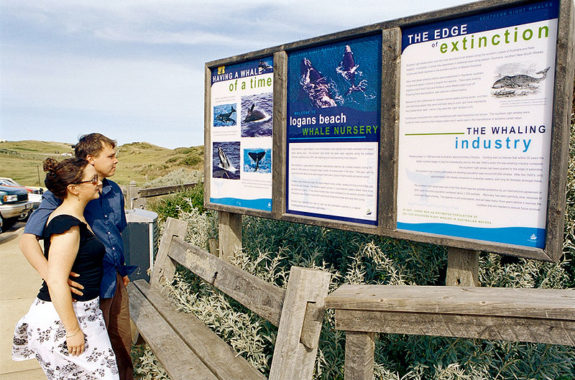 Logan's Beach, Warrnambool