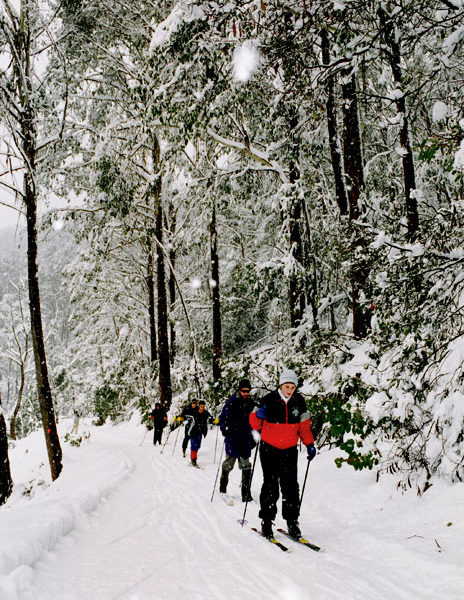 Cross country skiing, Mt Stirling, Victoria.