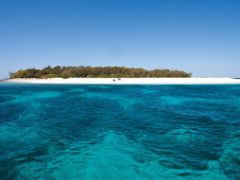 Wilson Island - a tropical escape