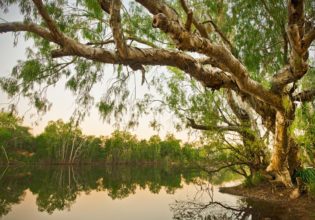 Another $1,249 Lens For A Reader!