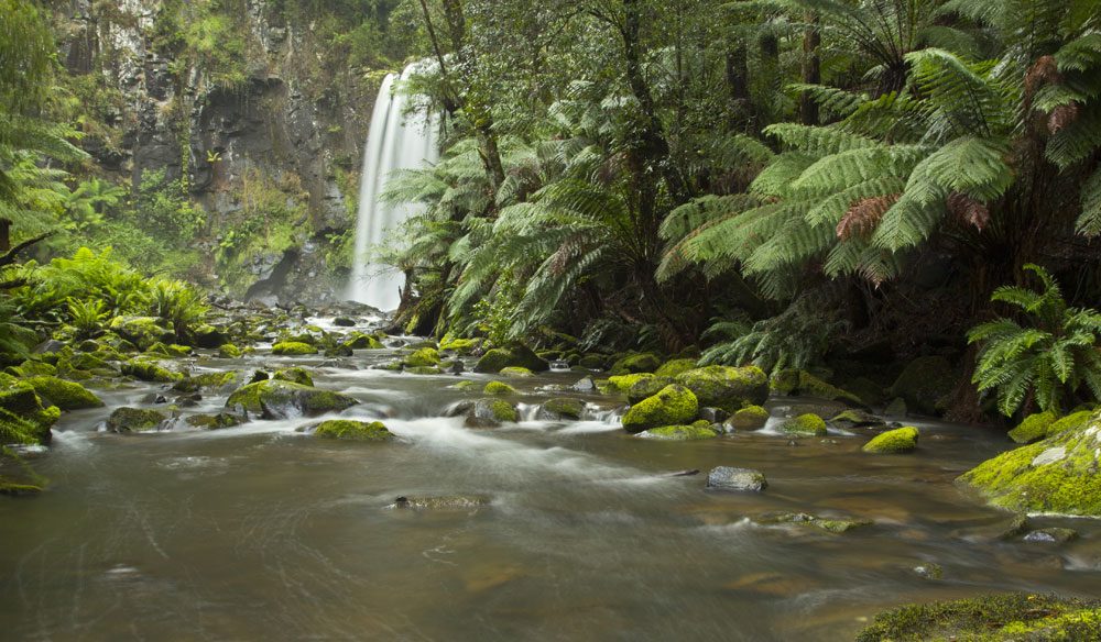 100 Incredible Travel Secrets #74 The Otway Ranges, Vic