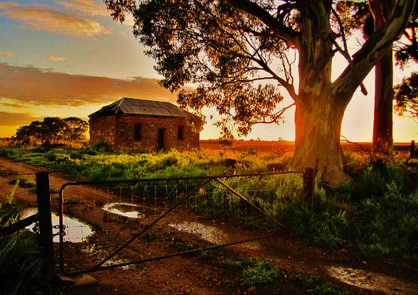 Old home at sunrise, near Murray Bridge, SA (Andrew LeGallez)